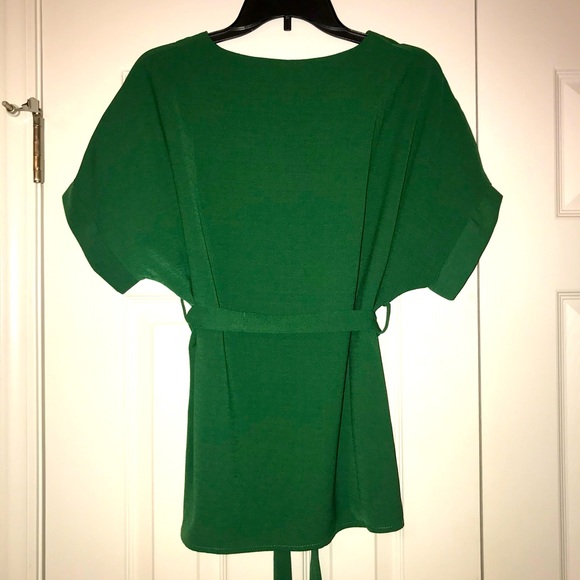 SHEIN | V-Neck Self Tie Waist Blouse - Picture 6 of 6